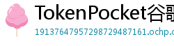 TokenPocket谷歌商店下载 - Google Play商店TokenPocket正版安装指南